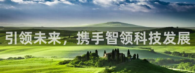 引领未来，携手智领科技发展