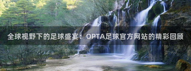 全球视野下的足球盛宴：OPTA足球官方网站的精彩回顾