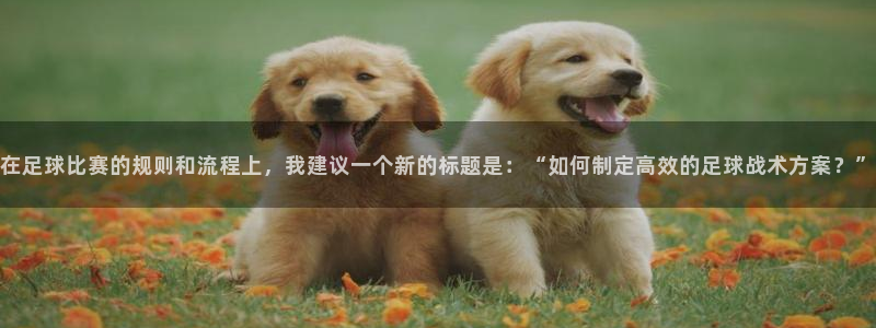 在足球比赛的规则和流程上，我建议一个新的标题是：“如何制定高效的足球战术方案？”
