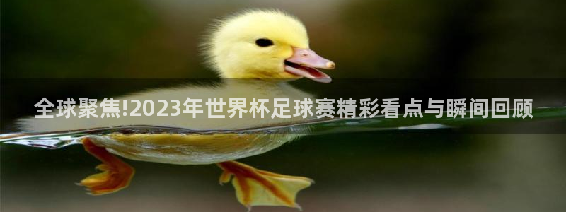 全球聚焦!2023年世界杯足球赛精彩看点与瞬间回顾