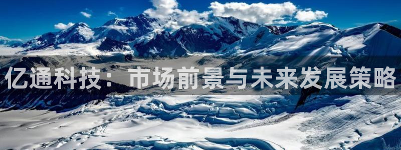 亿通科技：市场前景与未来发展策略