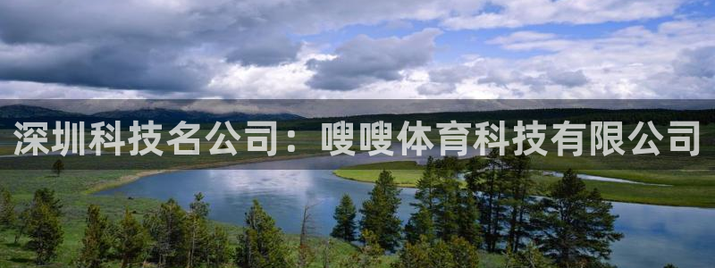 深圳科技名公司：嗖嗖体育科技有限公司