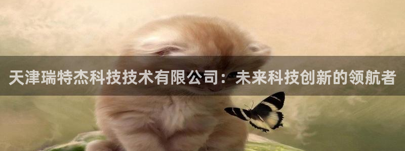 天津瑞特杰科技技术有限公司：未来科技创新的领航者